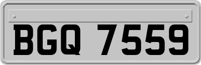 BGQ7559