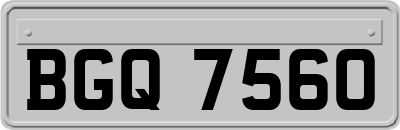 BGQ7560