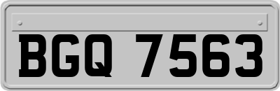 BGQ7563