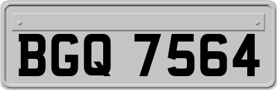 BGQ7564