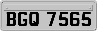 BGQ7565