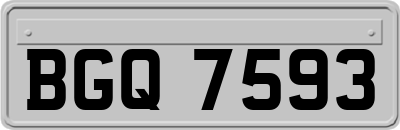 BGQ7593