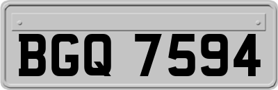 BGQ7594