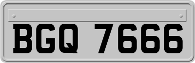 BGQ7666