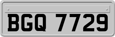 BGQ7729