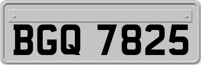 BGQ7825
