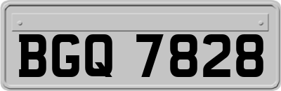 BGQ7828