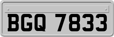 BGQ7833