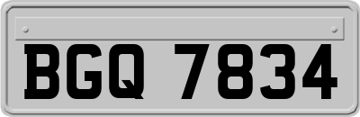 BGQ7834