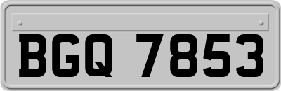 BGQ7853