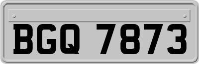 BGQ7873