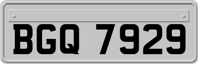 BGQ7929