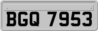BGQ7953