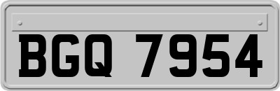 BGQ7954