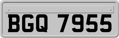 BGQ7955