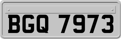 BGQ7973