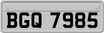 BGQ7985