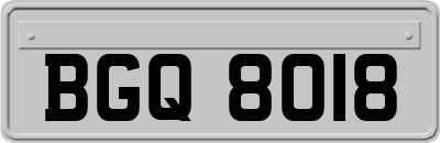 BGQ8018