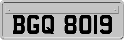 BGQ8019