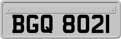 BGQ8021