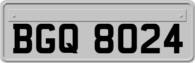 BGQ8024