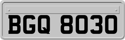 BGQ8030
