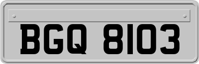 BGQ8103