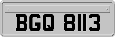 BGQ8113