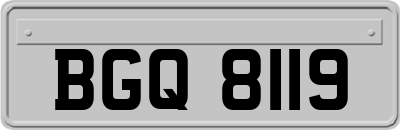 BGQ8119