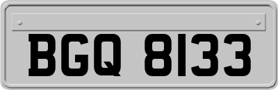 BGQ8133