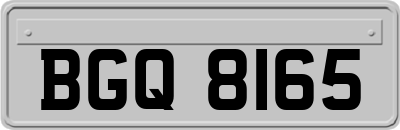 BGQ8165