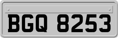 BGQ8253