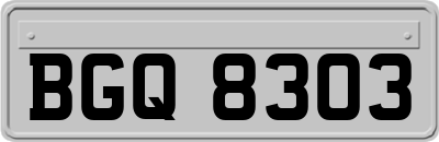 BGQ8303