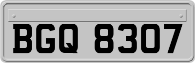 BGQ8307