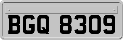 BGQ8309