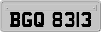 BGQ8313