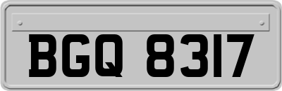 BGQ8317