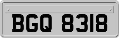 BGQ8318