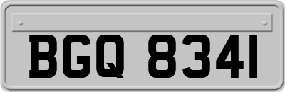 BGQ8341