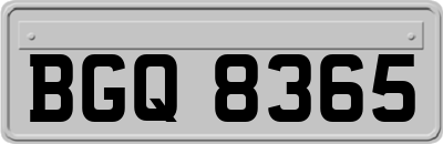 BGQ8365