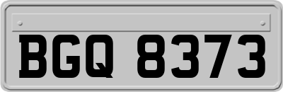 BGQ8373