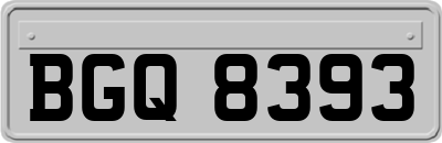 BGQ8393