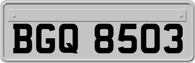 BGQ8503