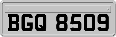 BGQ8509