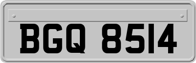BGQ8514
