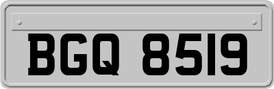 BGQ8519
