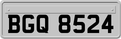 BGQ8524