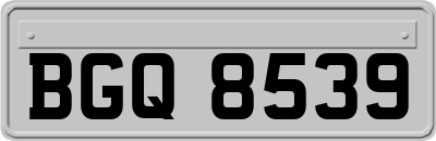 BGQ8539
