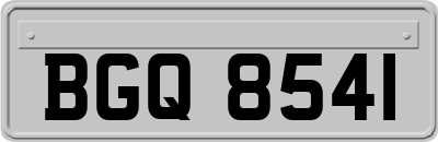 BGQ8541