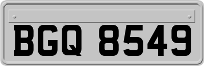 BGQ8549